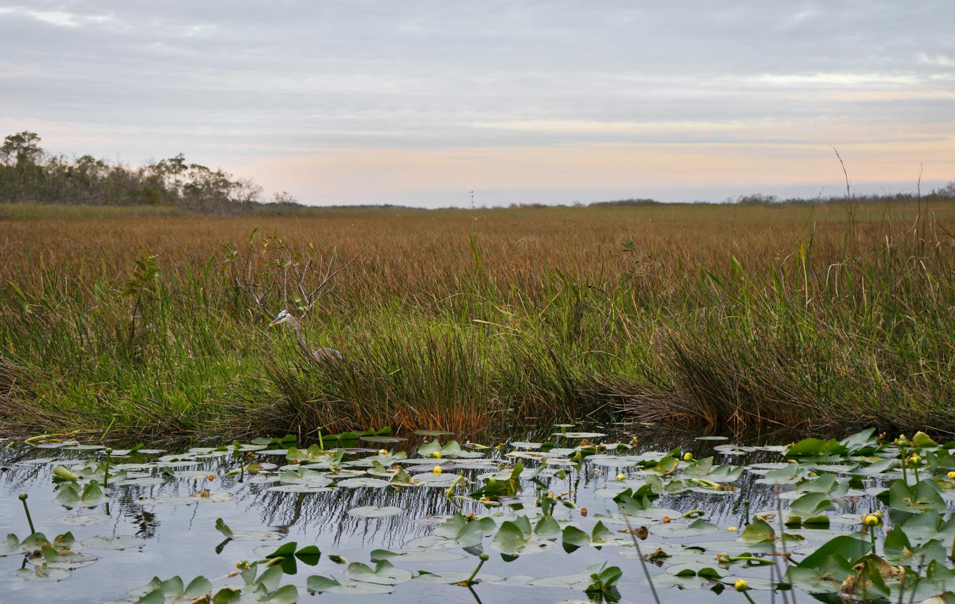 The Endless Prairie – Florida Folk History